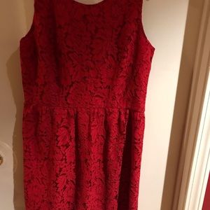Red Loft lace dress